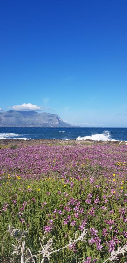 Casa Tura Leilighet Isola delle Femmine Eksteriør bilde